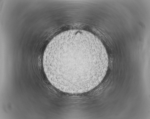 X0000115041010200912071105