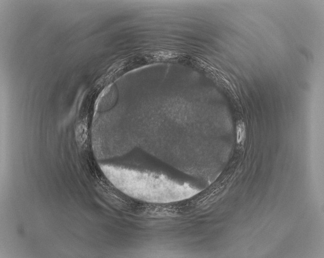 X0000115041011200912071105