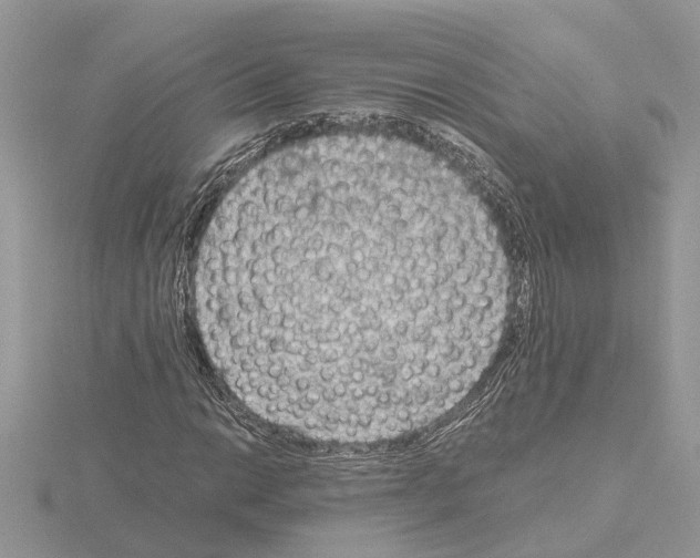 X0000115041014200912071105