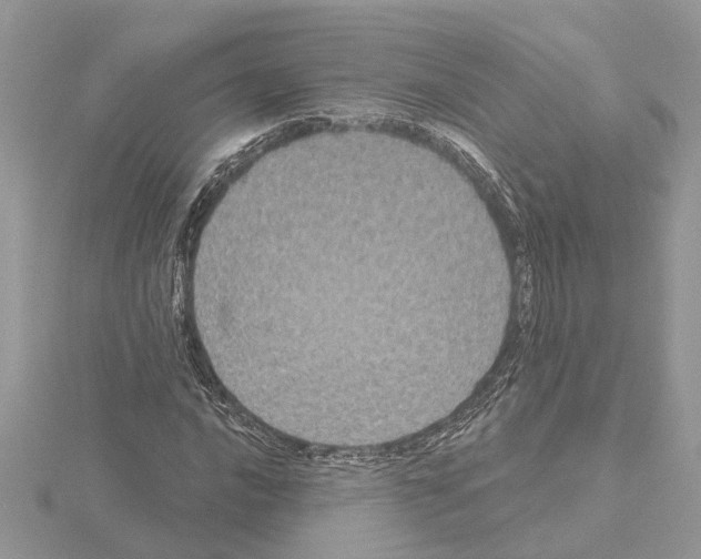 X0000115041016200912071105