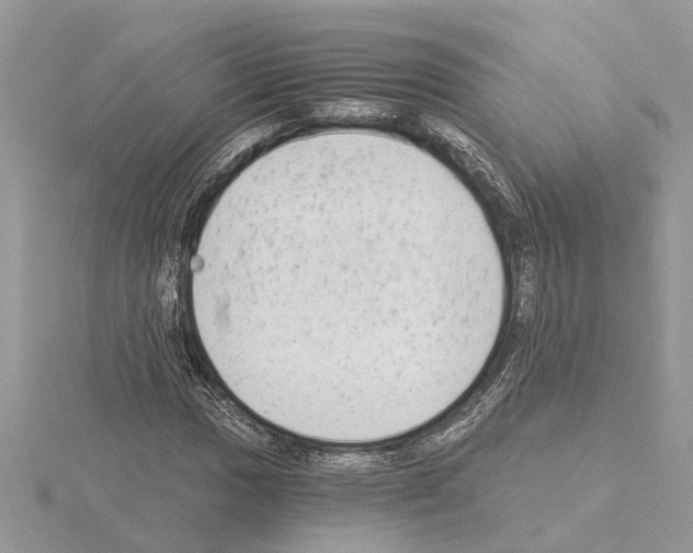 X0000115041017200912071105