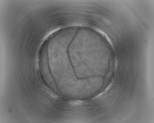 X0000115041019200912071105