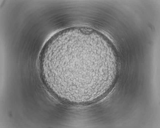 X0000115041022200912071105