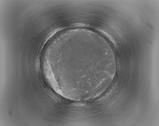 X0000115041023200912071105