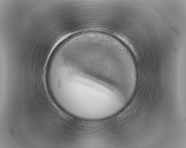 X0000115041024200912071105