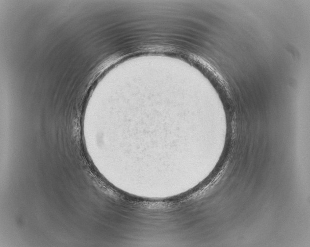 X0000115041025200912071105