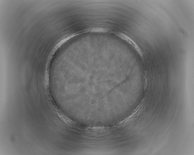 X0000115041027200912071105