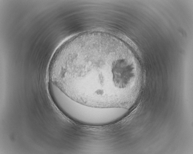 X0000115041028200912071105