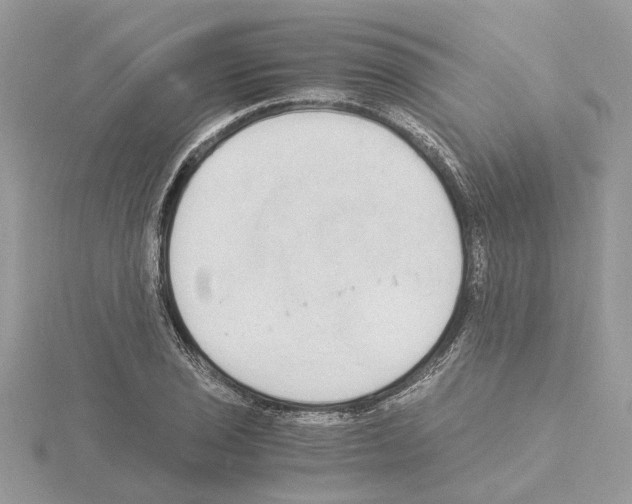 X0000115041029200912071105