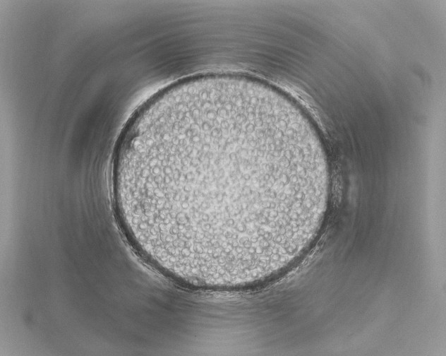 X0000115041030200912071105