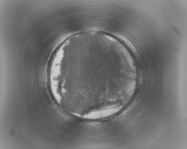 X0000115041031200912071105