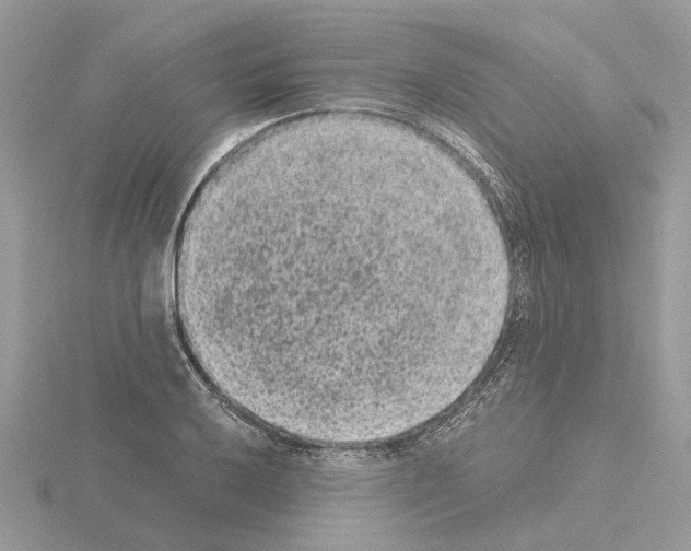 X0000115041032200912071105