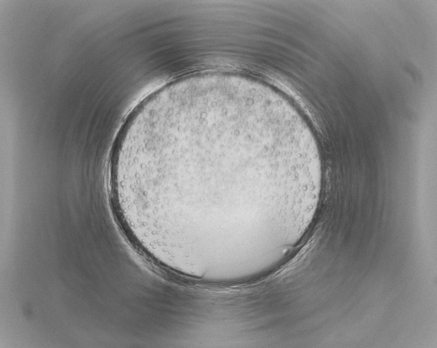 X0000115041034200912071105