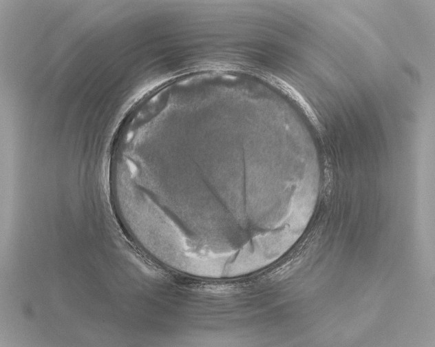 X0000115041035200912071105