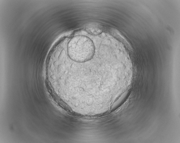 X0000115041036200912071105