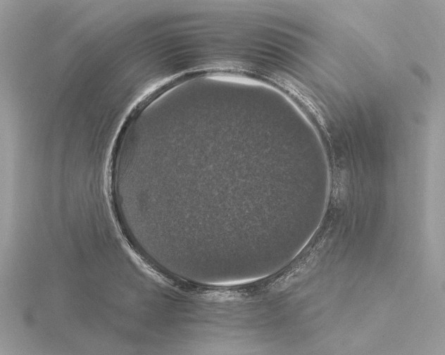 X0000115041037200912071105