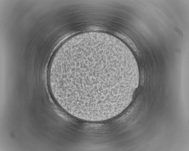 X0000115041039200912071105