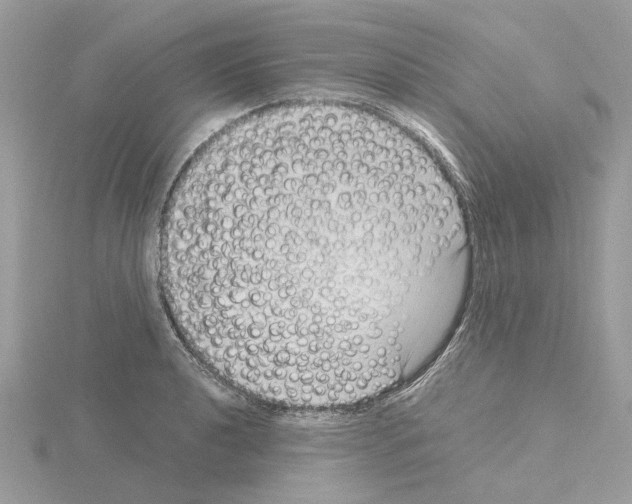 X0000115041040200912071105