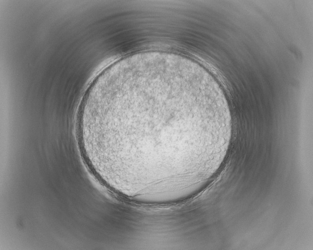 X0000115041042200912071105