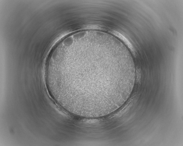 X0000115041043200912071105