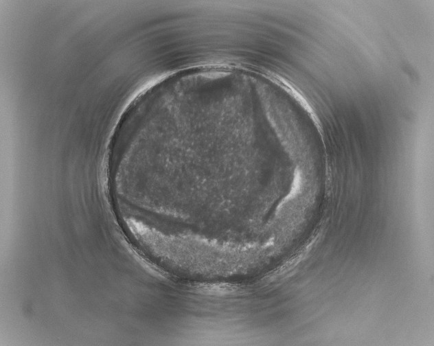 X0000115041045200912071105