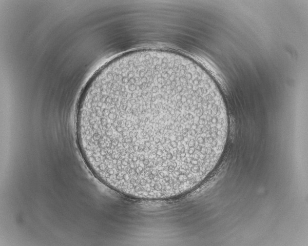 X0000115041046200912071105