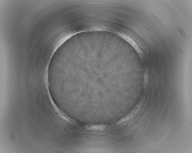 X0000115041047200912071105