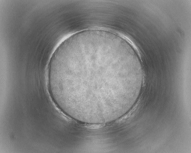 X0000115041048200912071105