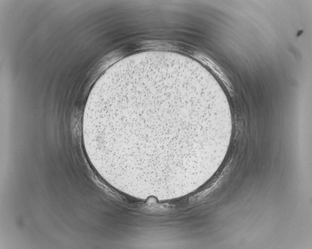 X0000115041049200912071105