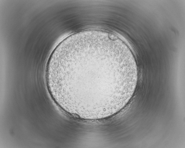 X0000115041050200912071105