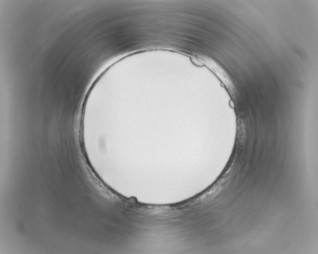 X0000115041052200912071105