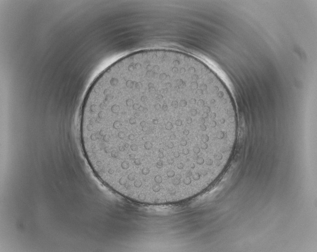 X0000115041053200912071105