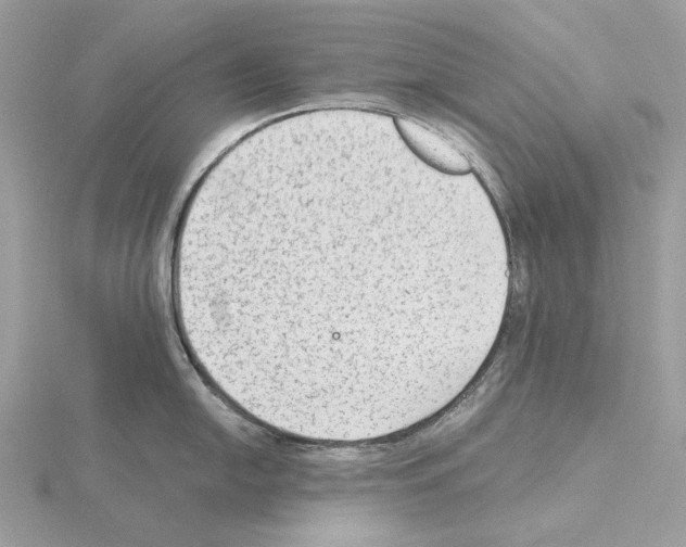 X0000115041054200912071105