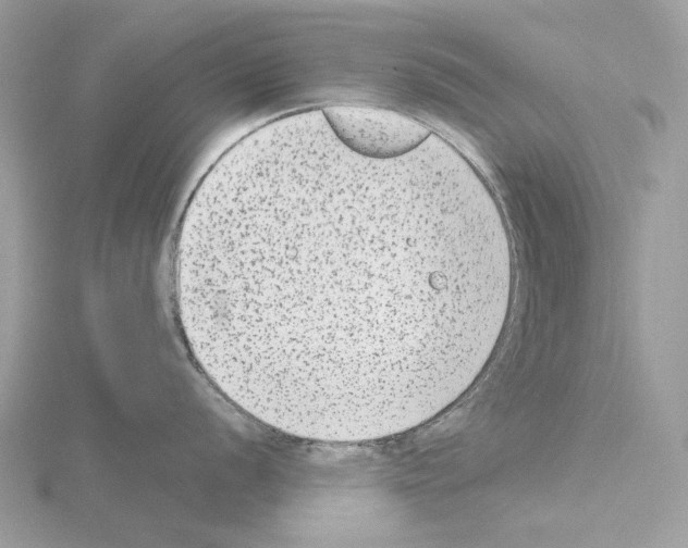 X0000115041056200912071105