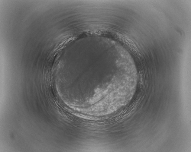 X0000115041060200912071105