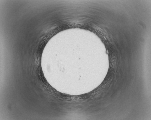 X0000115041061200912071105