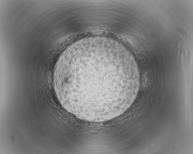 X0000115041062200912071105