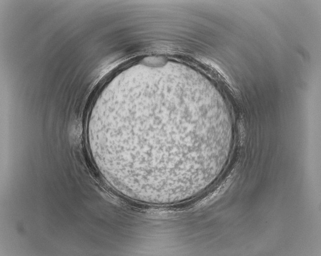 X0000115041065200912071105