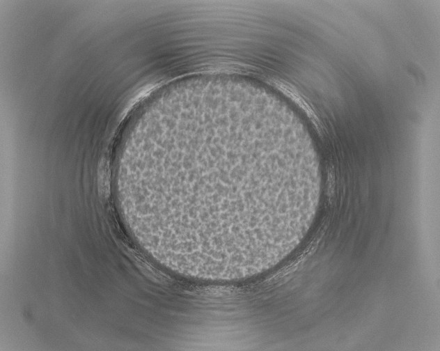 X0000115041067200912071105