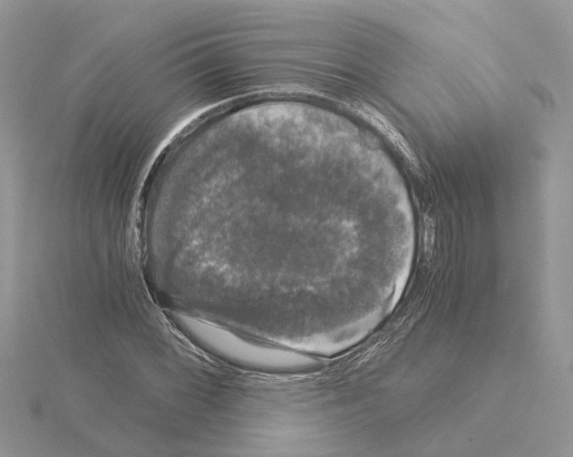 X0000115041068200912071104