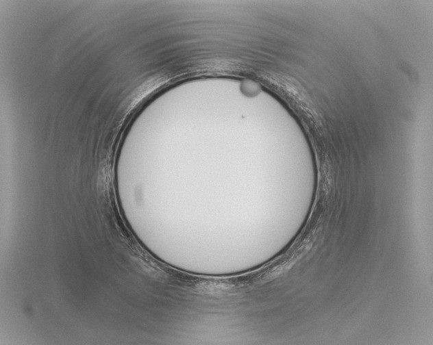 X0000115041073200912071104