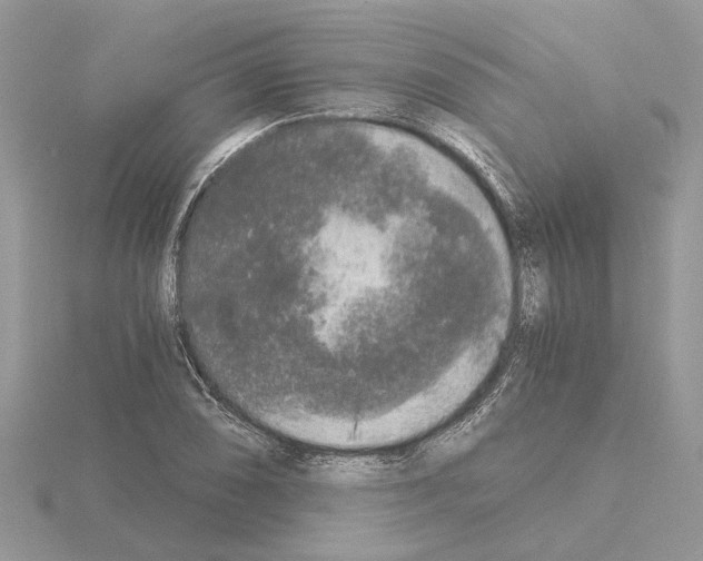 X0000115041074200912071104