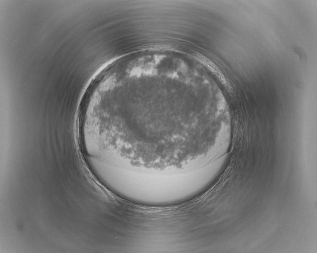 X0000115041076200912071104