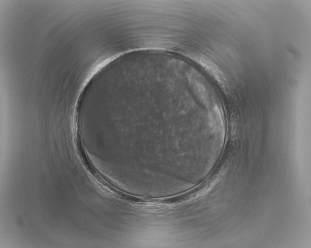 X0000115041077200912071104