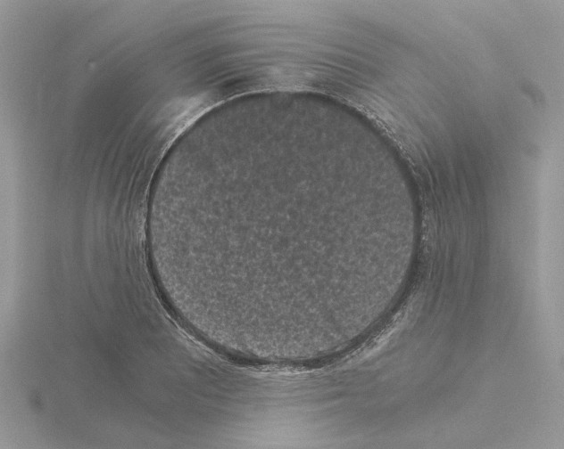 X0000115041081200912071104