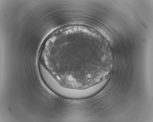 X0000115041084200912071104