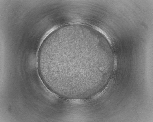 X0000115041090200912071104