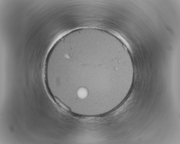 X0000115041093200912071104