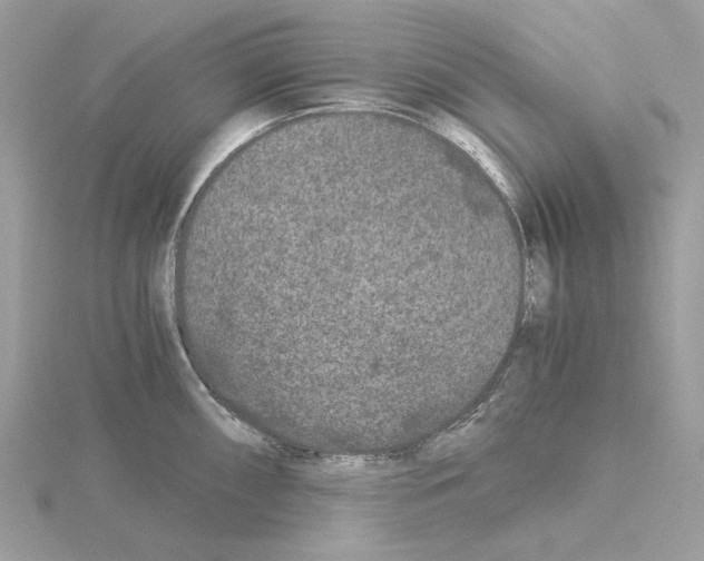 X0000115041098200912071104