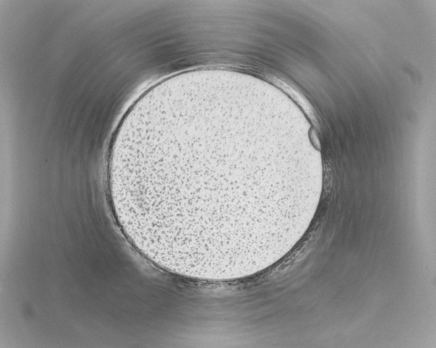 X0000115041099200912071104